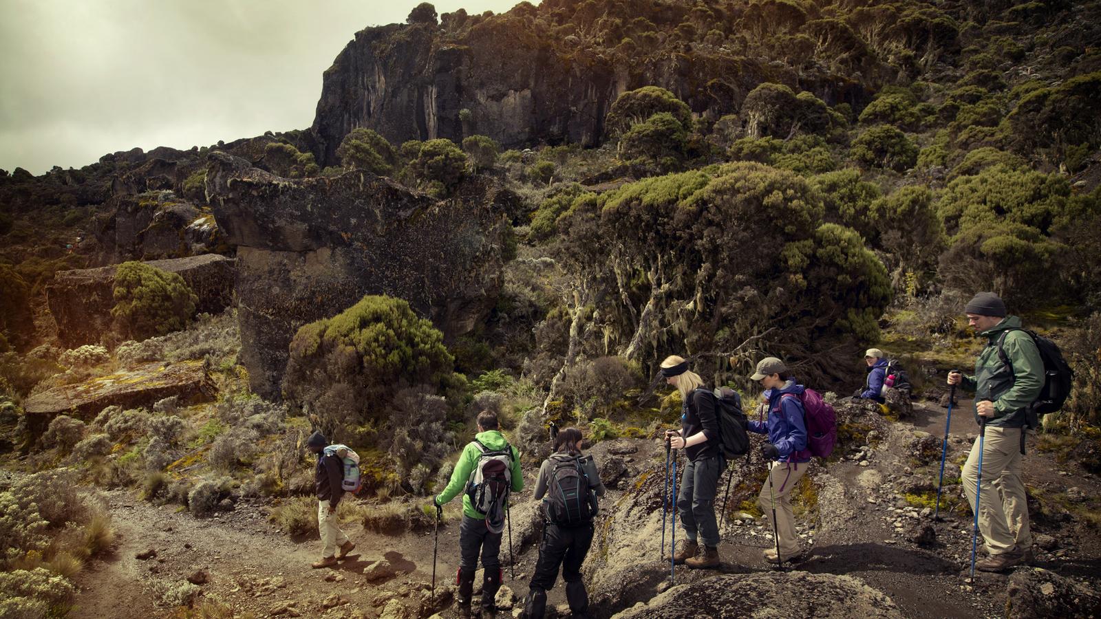 Kilimanjaro Machame Route scenic view